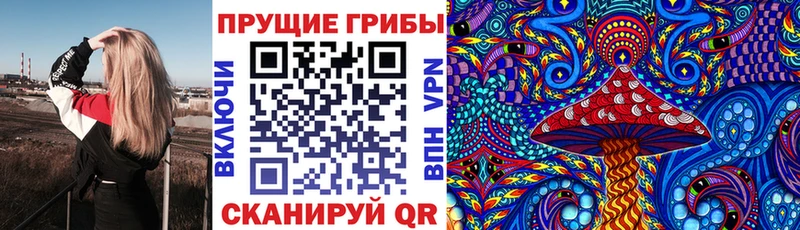 Купить  Карпинск  Псилоцибиновые грибы мухоморы 